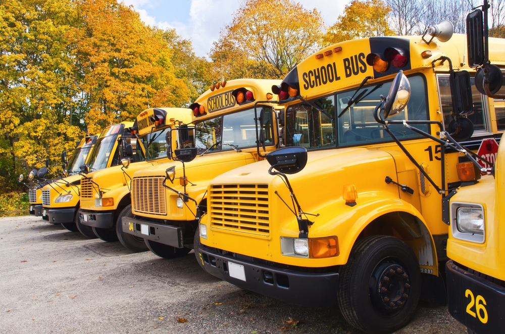 Row of yellow school buses against autumn trees